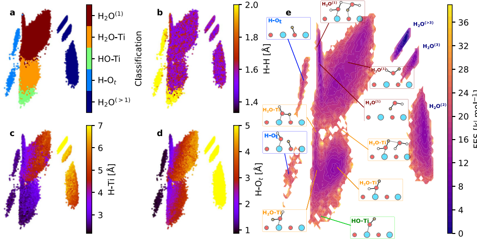 surface hydroxyl groups