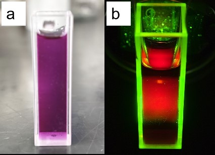 Disperzija kvantne točke crvenog fluorescentnog ugljika topiva u vodi